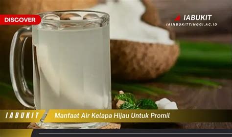 Temukan Manfaat Air Kelapa Hijau untuk Promil, Jarang Diketahui!