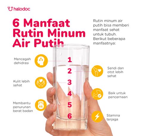 Temukan Rahasia Air Putih untuk Wajah yang Jarang Diketahui!