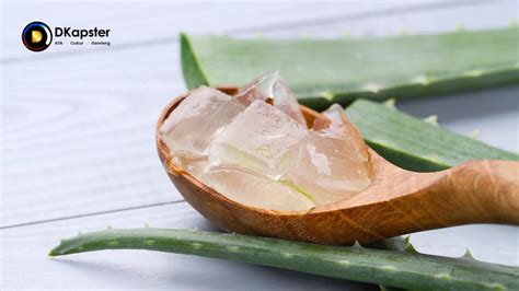 9 Manfaat Aloe Vera untuk Wajah yang Jarang Diketahui, Anda Wajib Tahu!