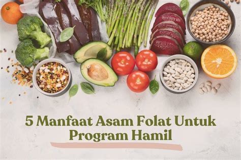 manfaat asam folat