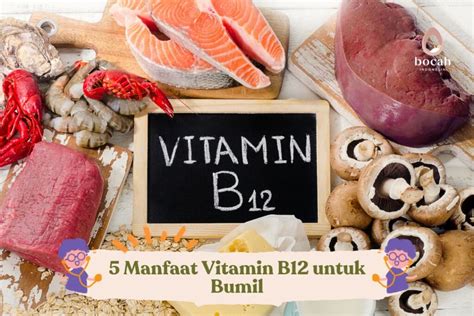 manfaat b12