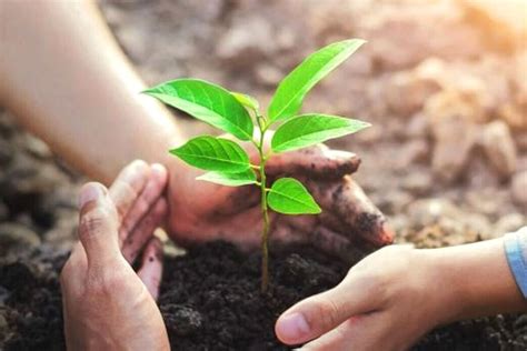 manfaat bagi lingkungan