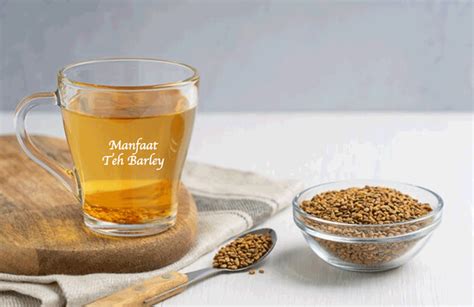 manfaat barley