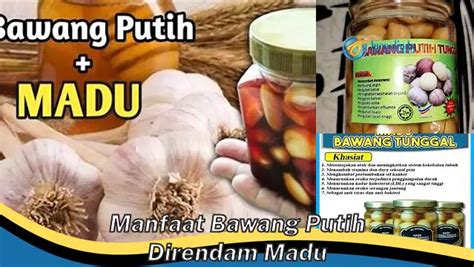 manfaat bawang putih direndam madu
