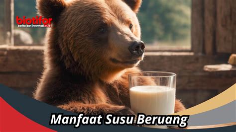 manfaat beruang