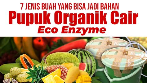 manfaat bio enzyme kulit buah