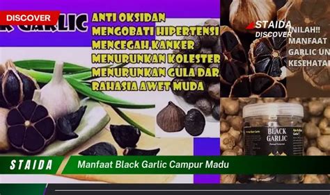Temukan Manfaat Black Garlic Campur Madu yang Jarang Diketahui
