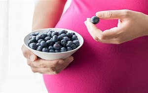 Manfaat Blueberry Untuk Ibu Hamil