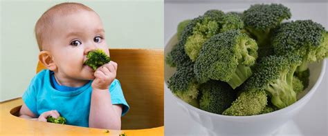 Temukan Manfaat Brokoli untuk Bayi 6 Bulan yang Perlu Anda Ketahui