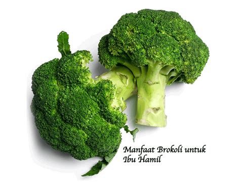 Temukan Manfaat Brokoli untuk Ibu Hamil yang Jarang Diketahui