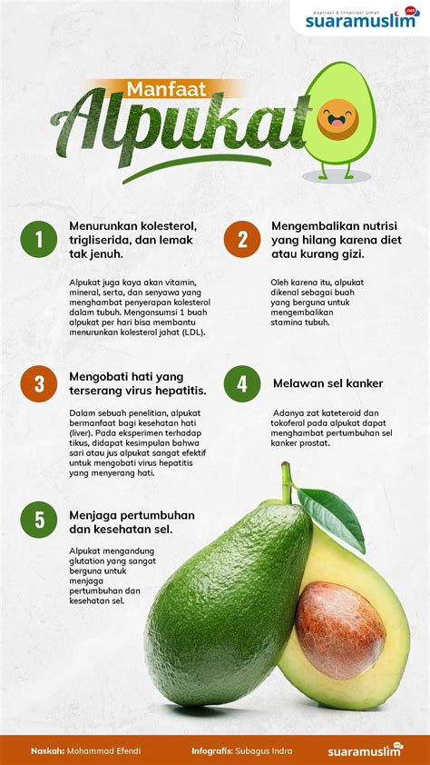 manfaat buah alpukat bagi kulit