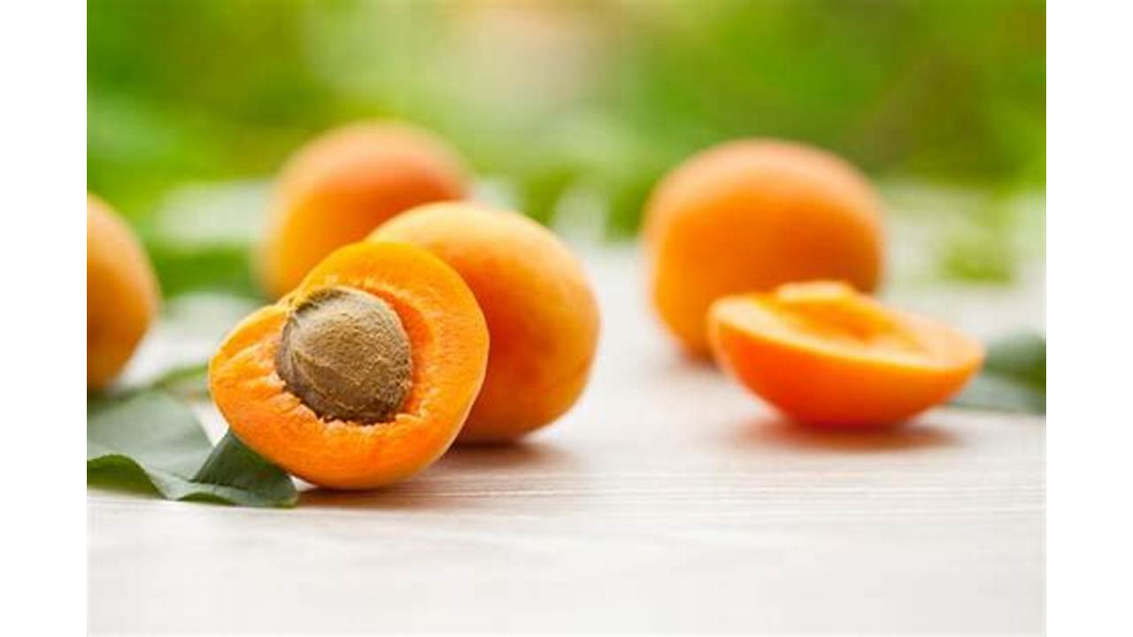 manfaat buah aprikot untuk ibu hamil