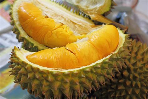 Temukan 7 Manfaat Buah Durian yang Jarang Diketahui