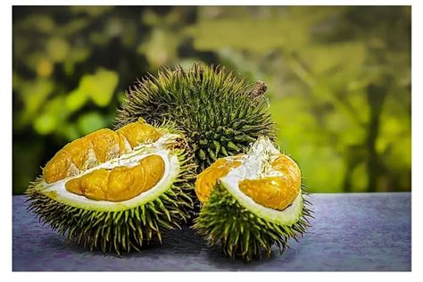 Temukan Manfaat Buah Durian yang Jarang Diketahui Untuk Kesehatan Tubuh