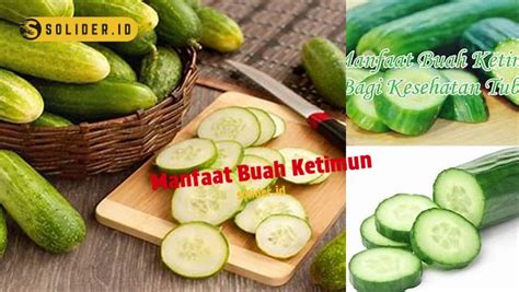 manfaat buah ketimun