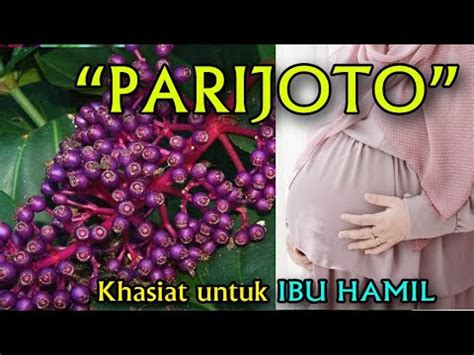 Temukan 7 Manfaat Buah Parijoto yang Jarang Diketahui Ibu Hamil