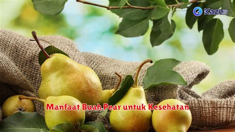 Temukan 7 Manfaat Buah Pir untuk Kesehatan yang Jarang Diketahui