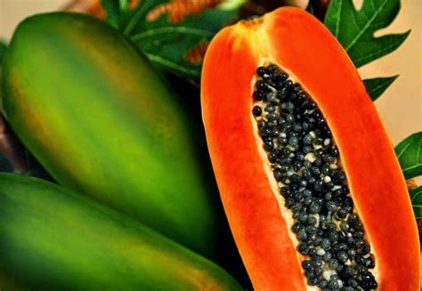 Unveil the Benefits of Papaya for Women: Discoveries You Need to Know