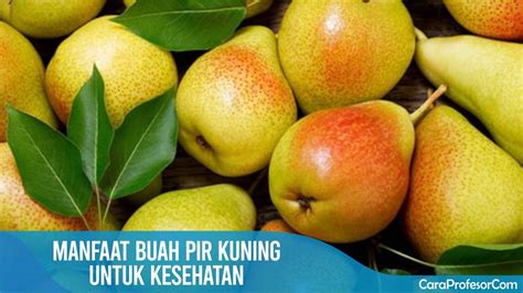 Temukan Manfaat Buah Pir Kuning yang Jarang Diketahui, Menakjubkan!