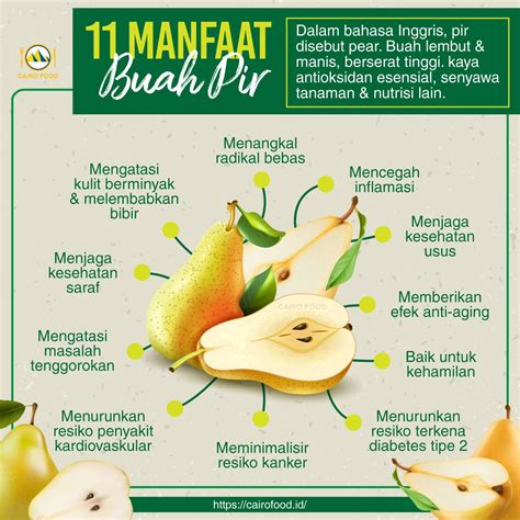 Temukan Rahasia Tersembunyi buah Pir Madu: 7 Manfaat Luar Biasa