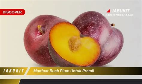 Temukan 7 Manfaat Buah Plum untuk Promil yang Jarang Diketahui