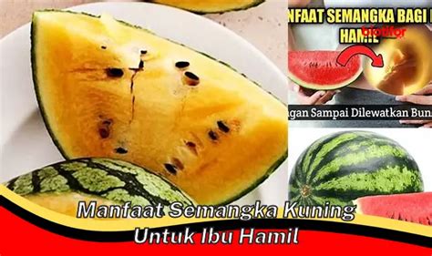 Temukan Manfaat Buah Semangka Kuning untuk Ibu Hamil yang Jarang Diketahui