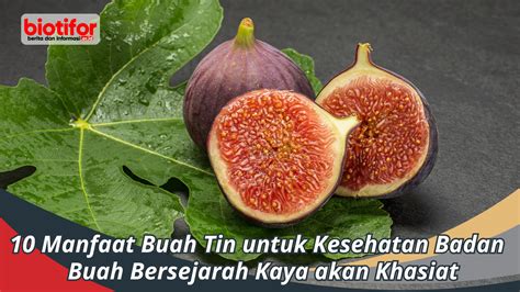 manfaat buah tin