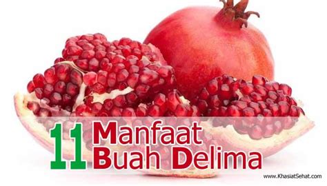 Terungkap Manfaat Buah Delima yang Jarang Diketahui