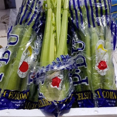 Manfaat Celery Stick Yang Belum Banyak Diketahui