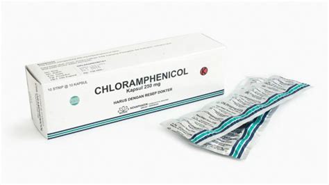 manfaat chloramphenicol