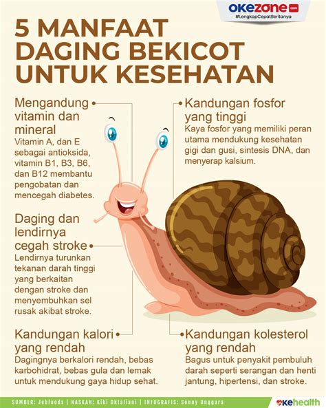 manfaat daging bekicot