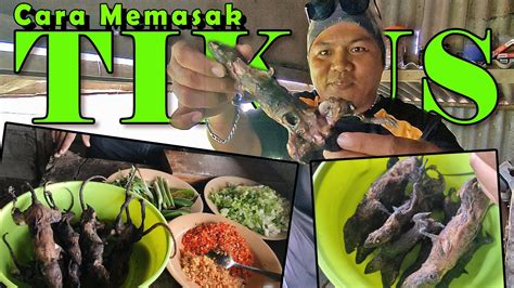 manfaat daging tikus