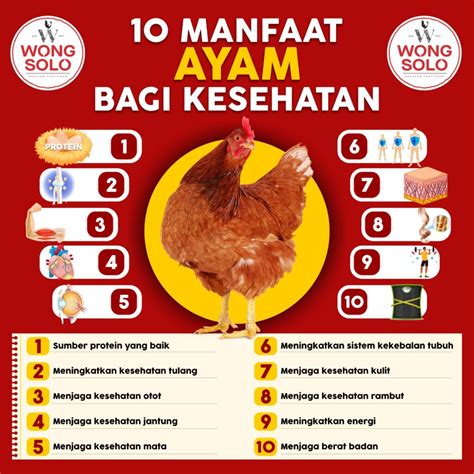 manfaat dari ayam