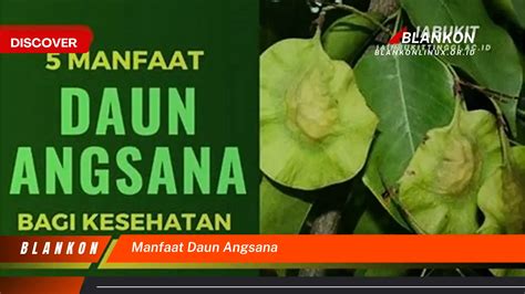 manfaat daun angsana