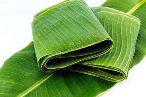 5 Manfaat Daun Pisang yang Jarang Diketahui, Penting untuk Kesehatan!