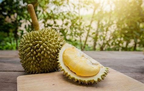 Temukan 9 Manfaat Buah Durian yang Jarang Diketahui