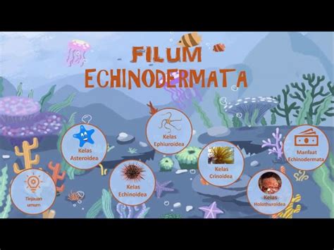 manfaat echinodermata