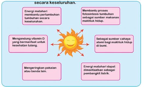 10 Manfaat Energi Matahari untuk Tumbuhan yang Jarang Diketahui