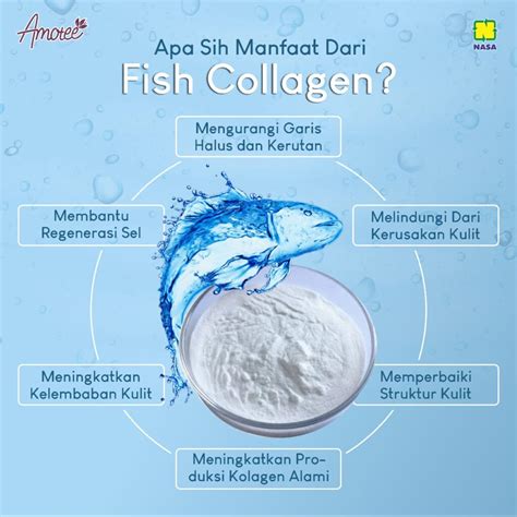 Terungkap! 6 Manfaat Fish Collagen yang Jarang Diketahui