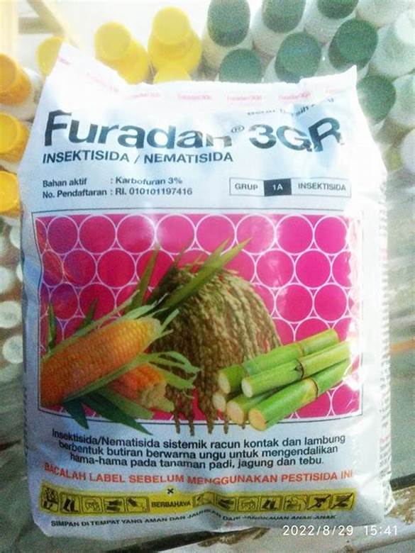 manfaat furadan untuk padi di Indonesia