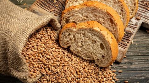 manfaat gandum bagi kesehatan
