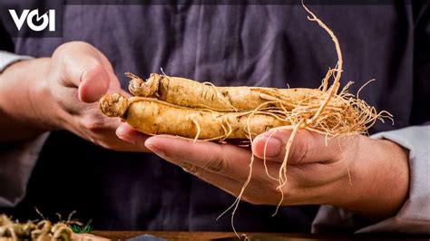 Temukan 7 Manfaat Ginseng Merah untuk Pria yang Jarang Diketahui