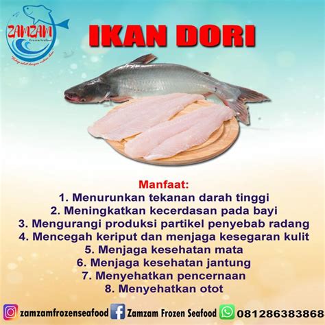 10 Manfaat Ikan Dori yang Jarang Diketahui, Yuk Intip!
