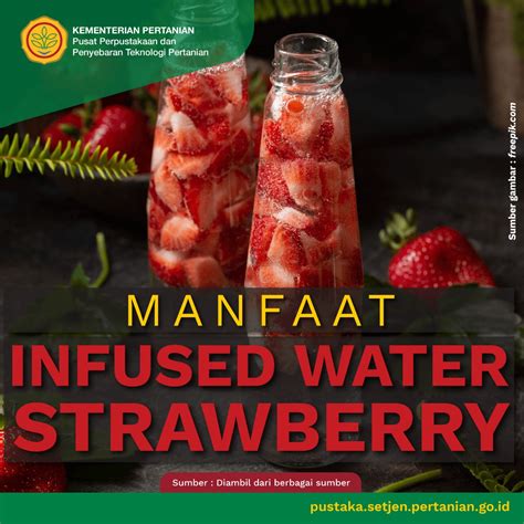Temukan Manfaat Infused Water Strawberry yang Jarang Diketahui