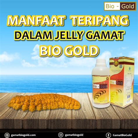 Temukan Manfaat Jelly Gamat Bio Gold yang Belum Anda Ketahui