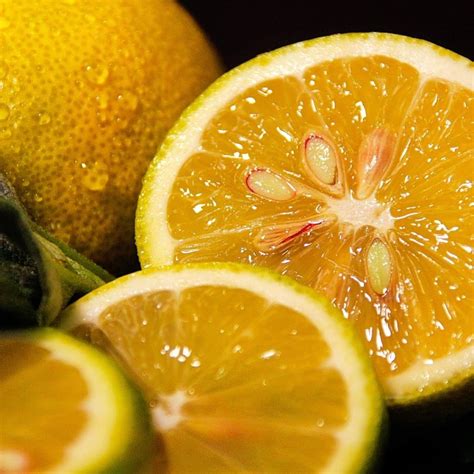 Temukan Manfaat Jeruk Lemon untuk Lambung yang Jarang Diketahui