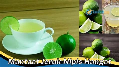 manfaat jeruk nipis hangat