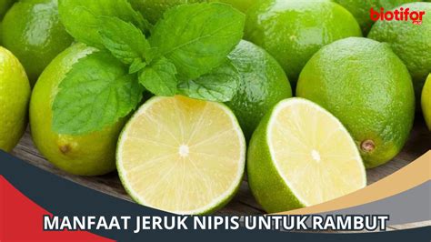 Manfaat Jeruk Nipis untuk Rambut yang Wajib Anda Tahu!