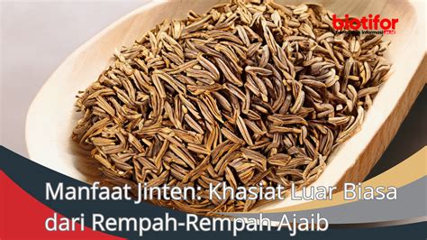 Manfaat Jinten untuk Masakan: Penemuan Luar Biasa yang Perlu Anda Ketahui