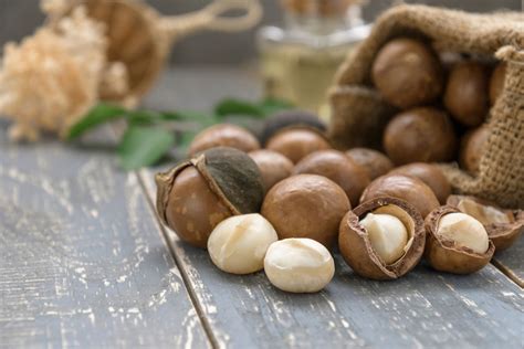 Ungkap Manfaat Kacang Macadamia yang Jarang Diketahui